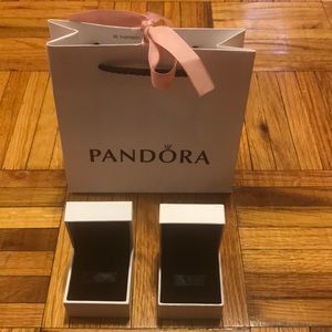 Pandora Bag & Charm Boxes